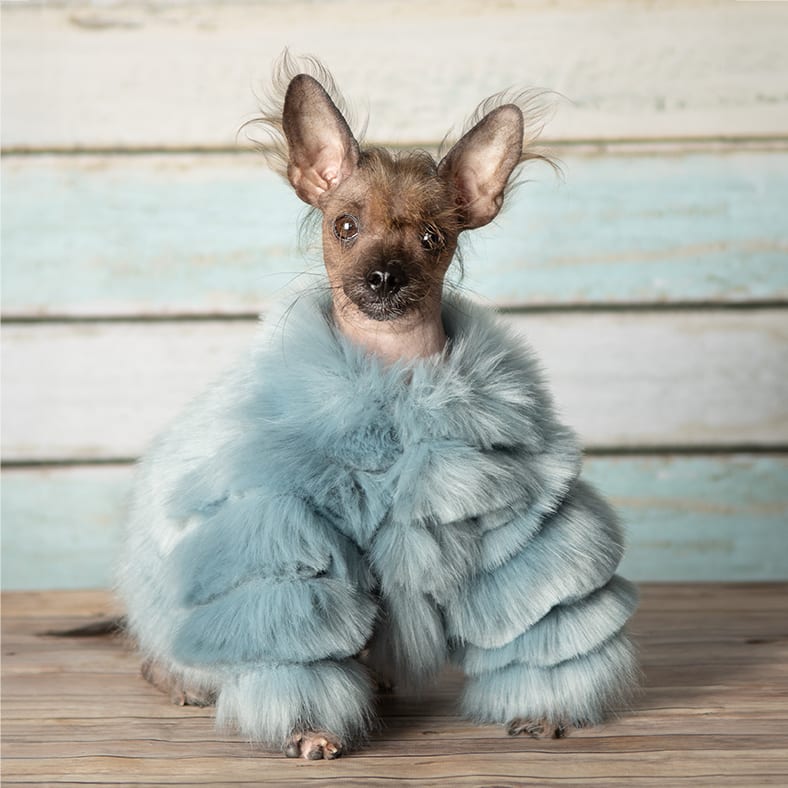 Yoda
