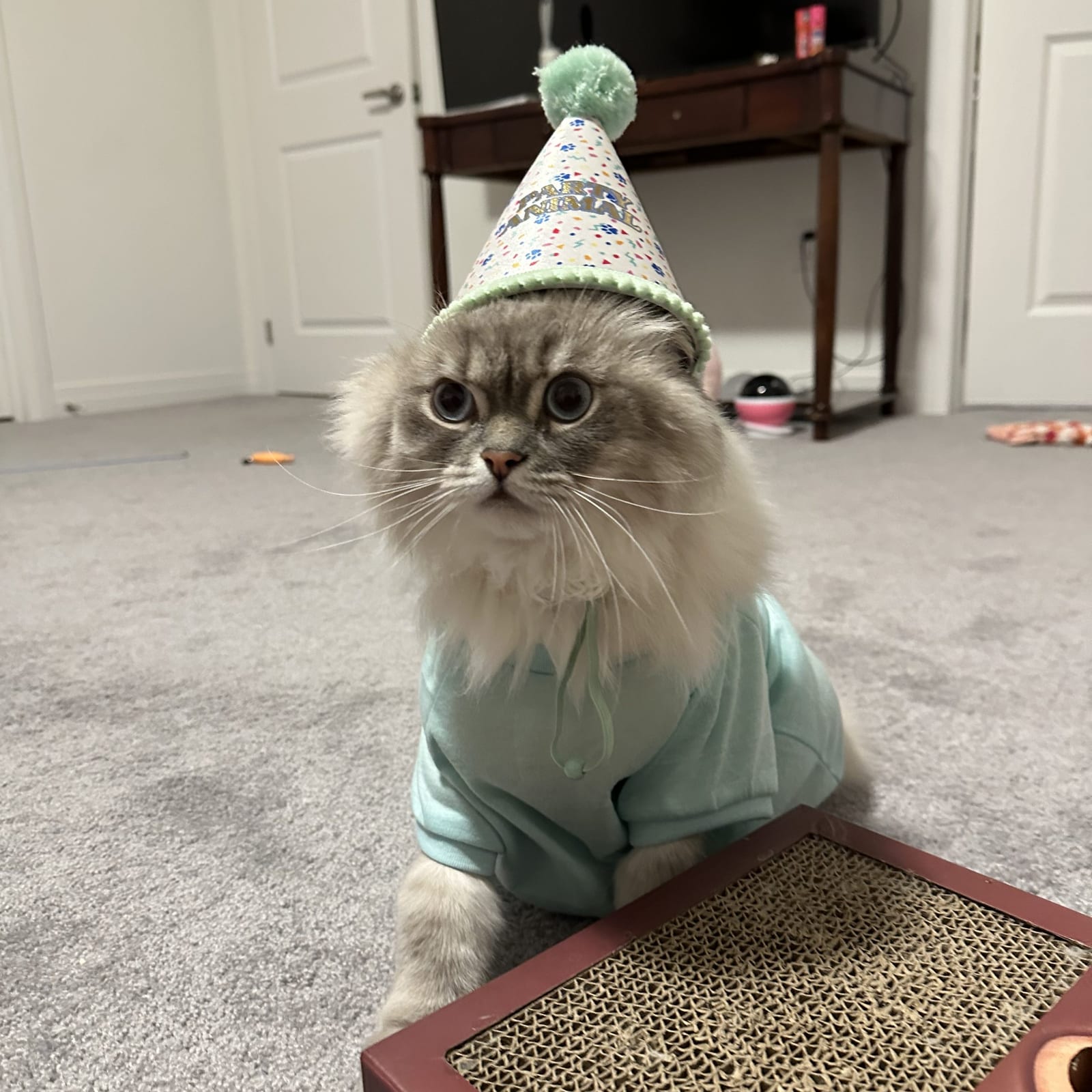 Precious Kaur