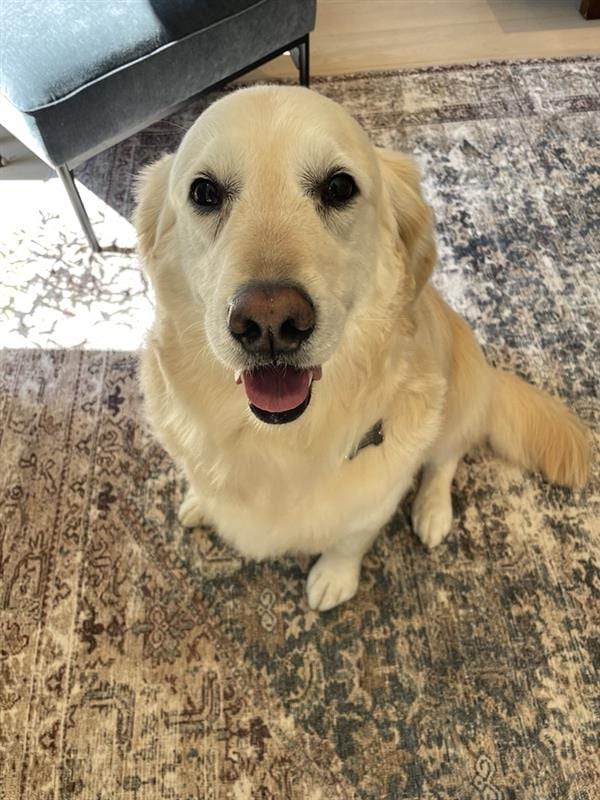 Sadie