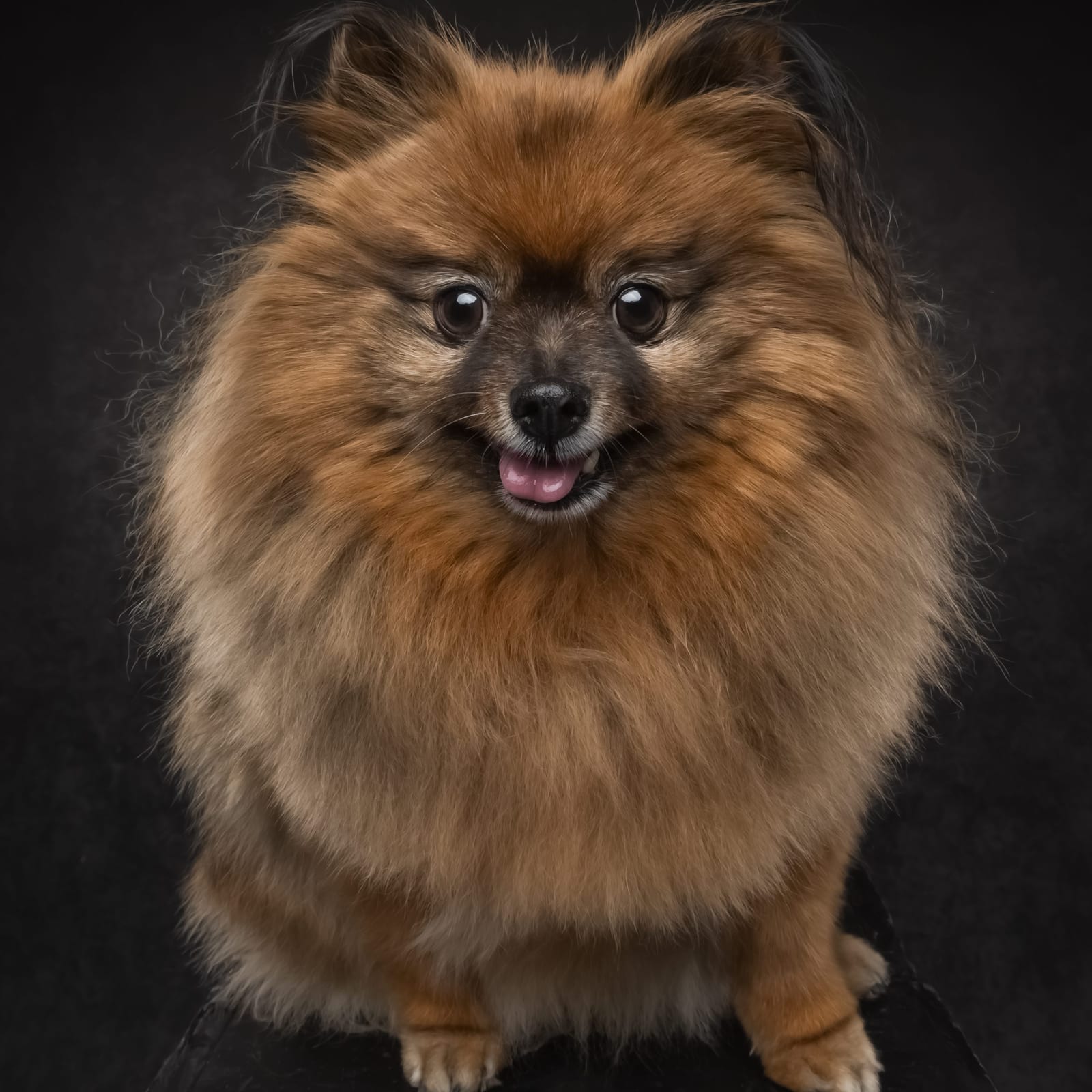 Chewy