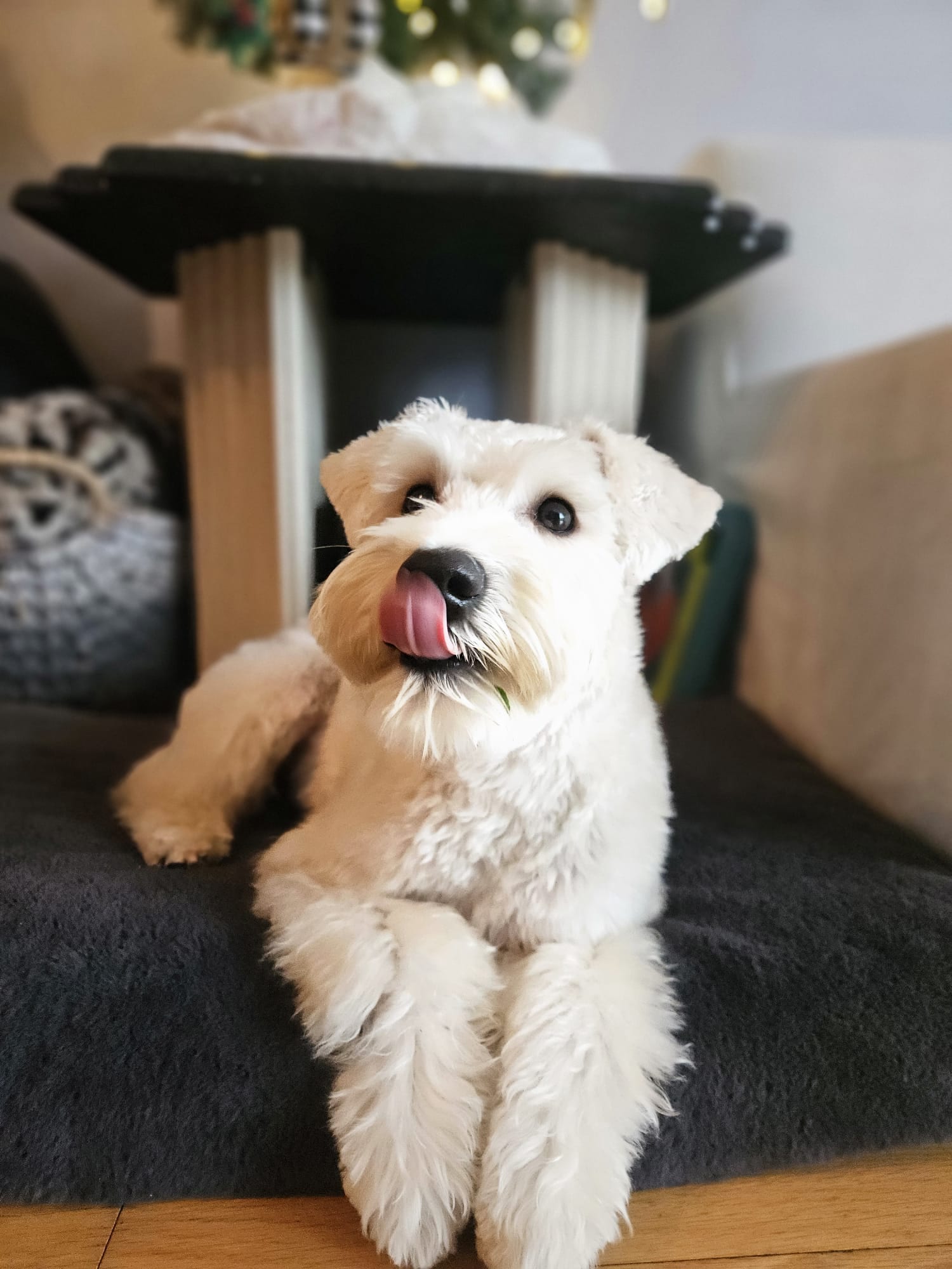 Bisou