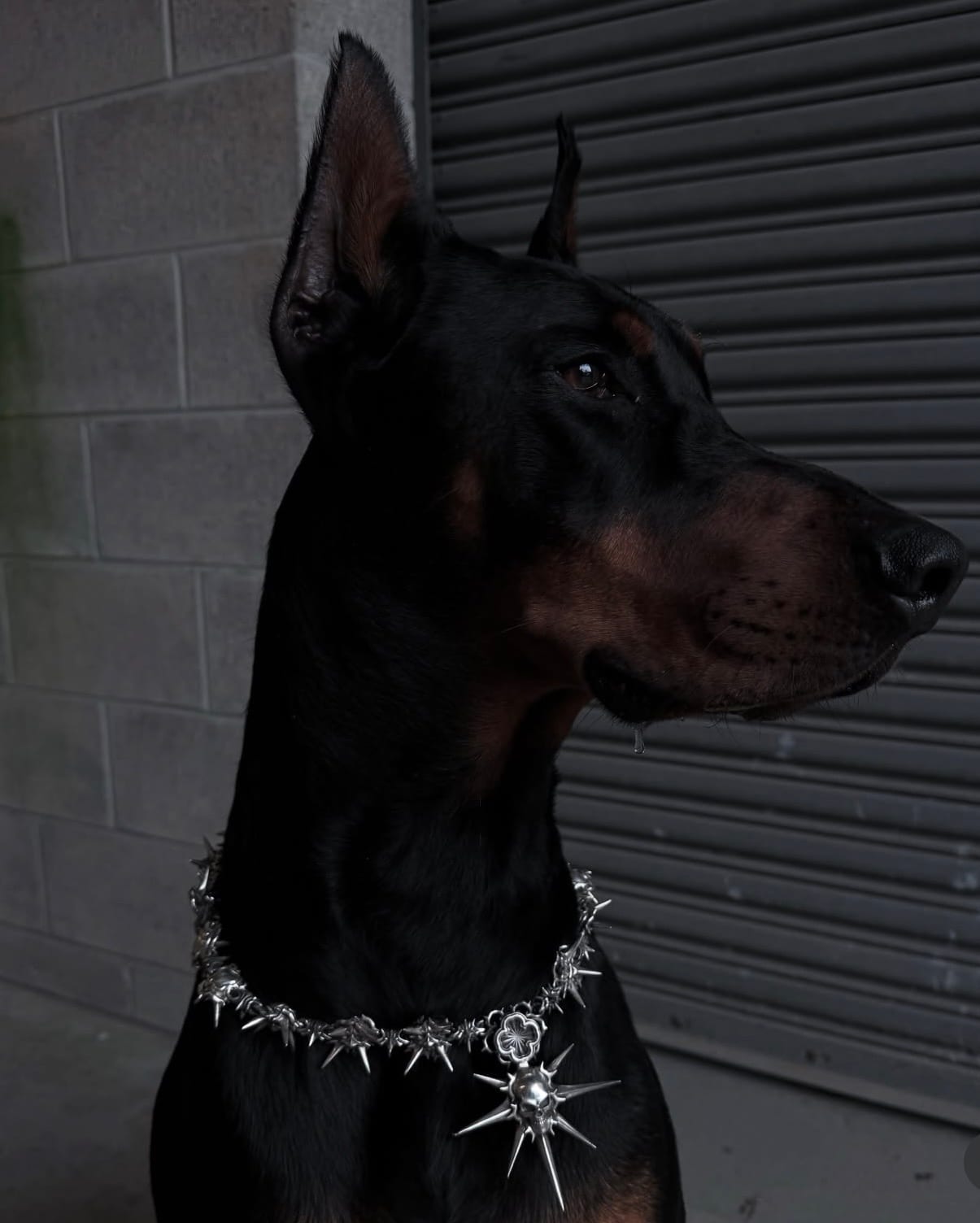 Onyx