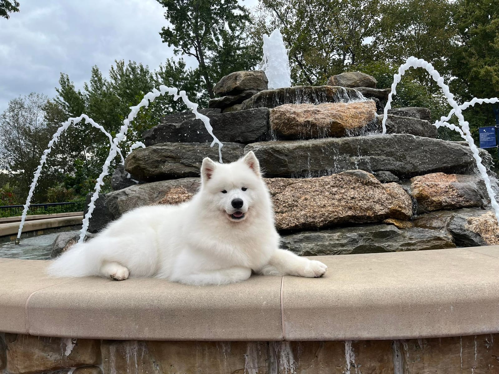 Duke