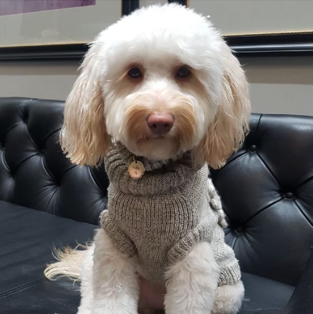 Bella