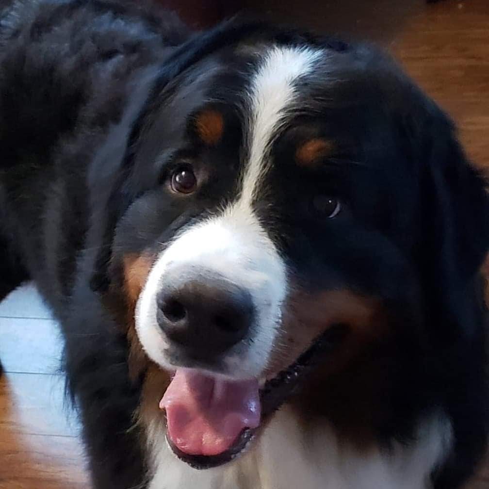 Logan