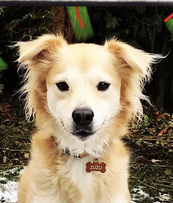 Zuzu Fox
