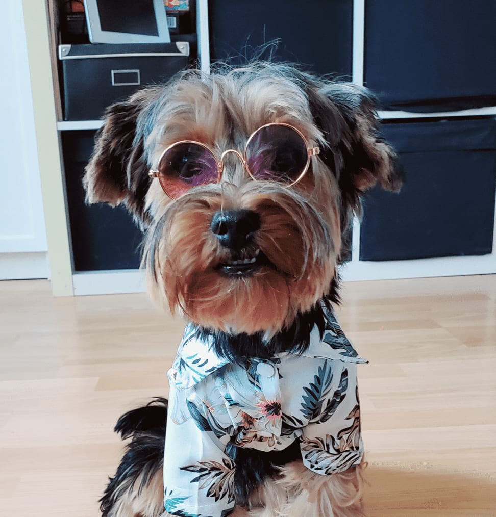 Chiquitito