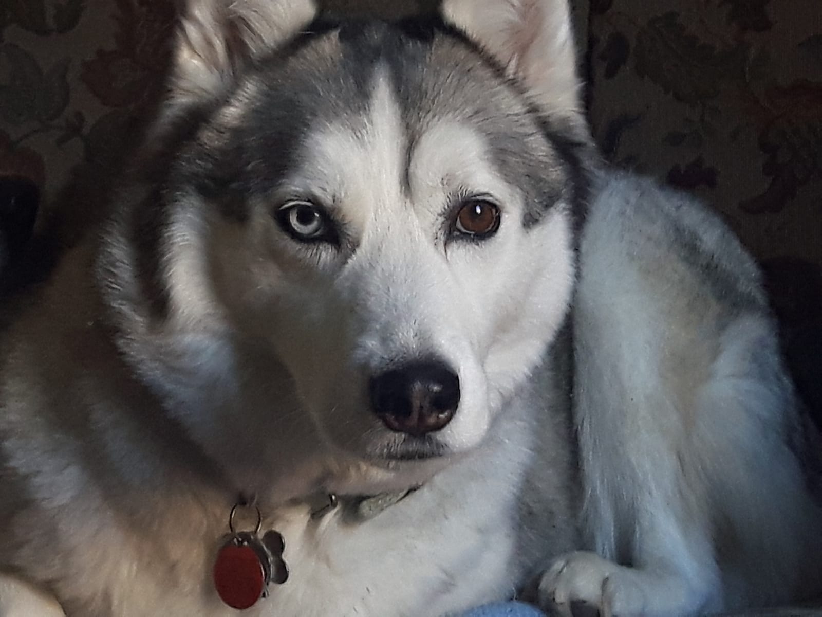 Athena