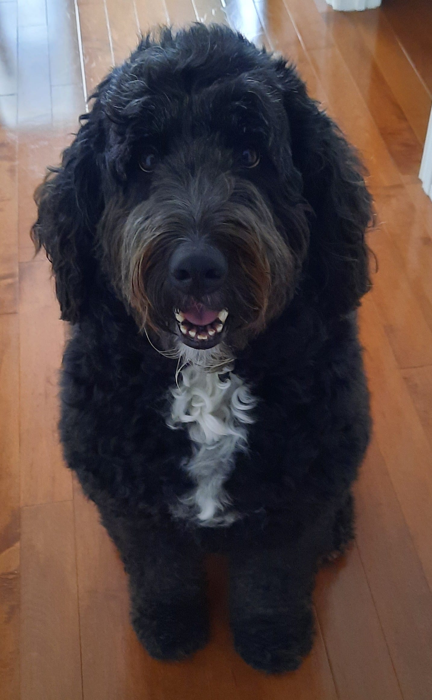 Molly