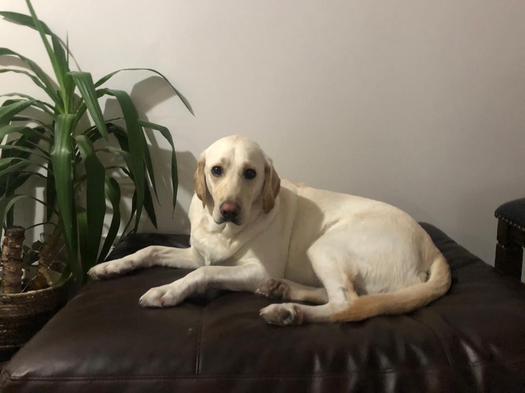 Mia