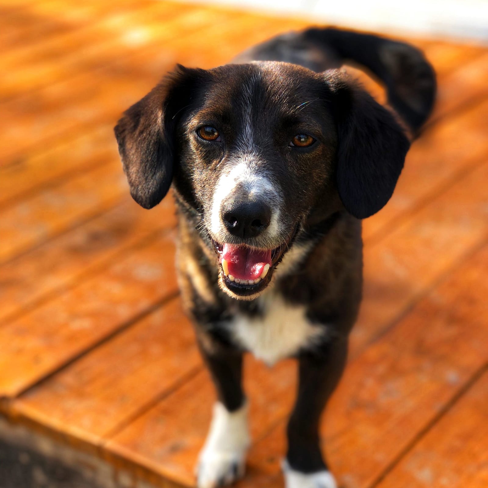 Lennon