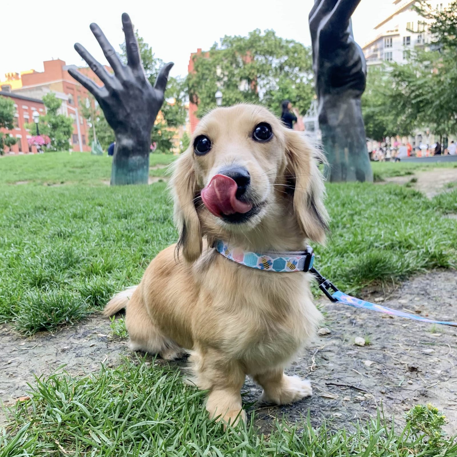 Mia