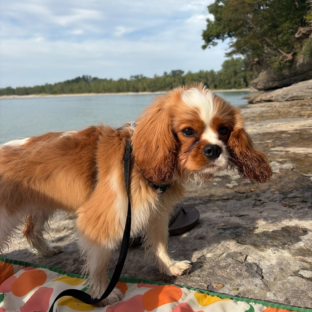 Rudy