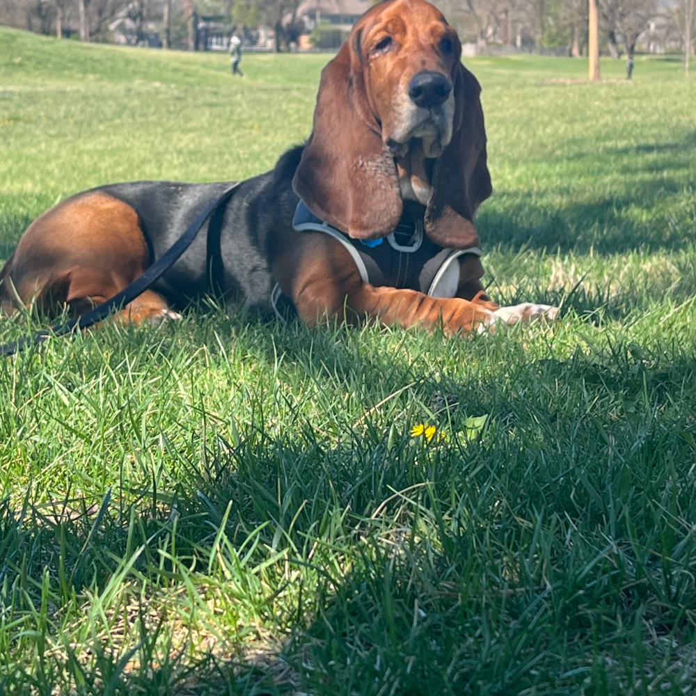 Walter